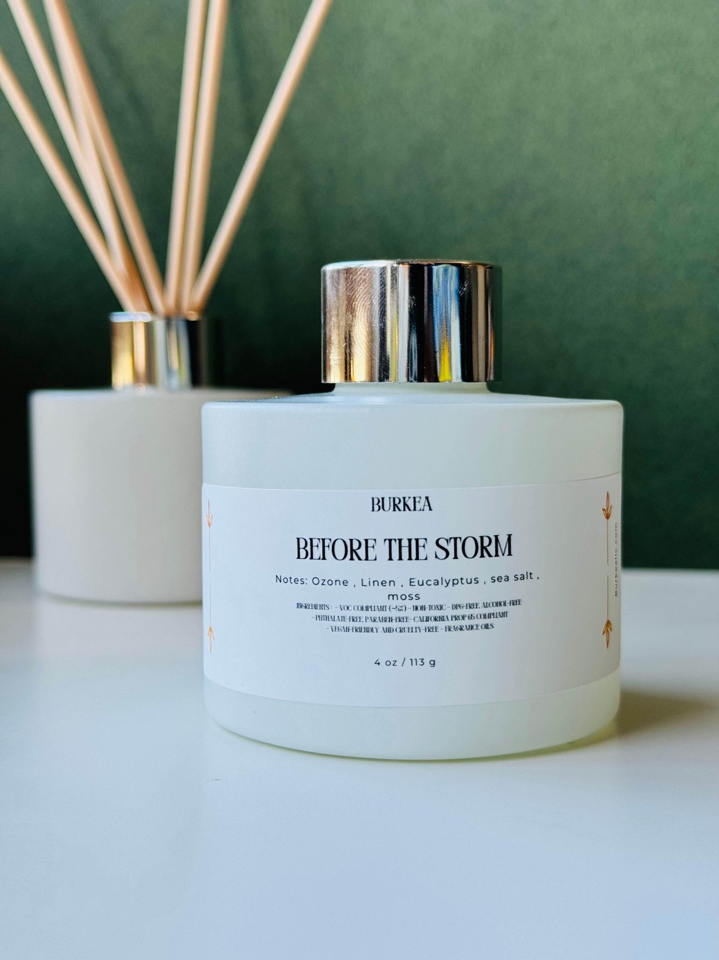 Before the Storm Reed Diffuser 4 oz | 113g - BURKEA LLC