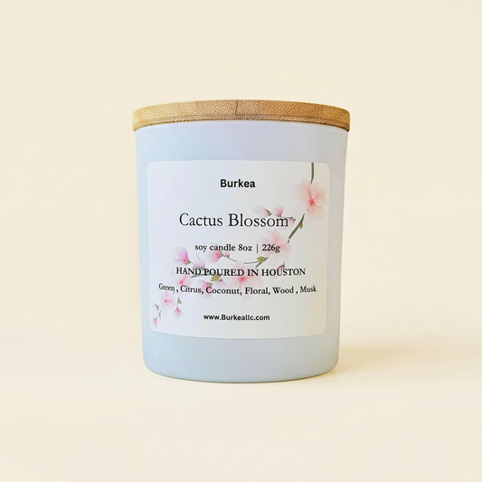 Cactus Blossom con tapa sobre fondo marfil